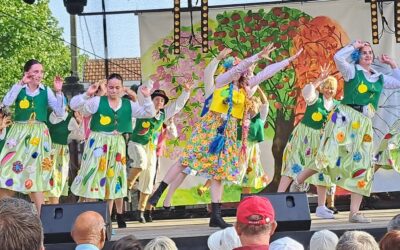 Réunion information « Danseurs » Chatel En Fête